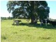 Wingham NSW 2429