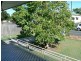 Taree NSW 2430