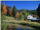Wingham NSW 2429