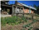 Wingham NSW 2429