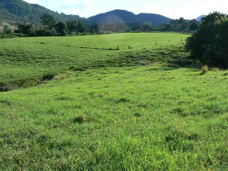 Mount George NSW 2424