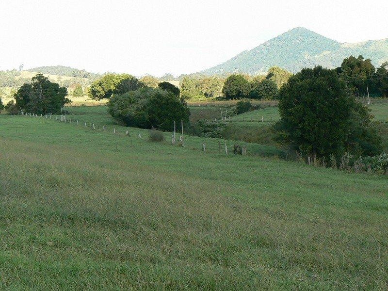 Mount George NSW 2424