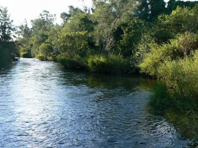 Mount George NSW 2424