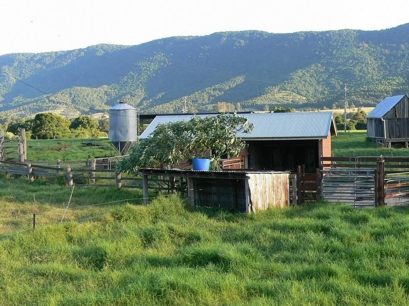 Mount George NSW 2424