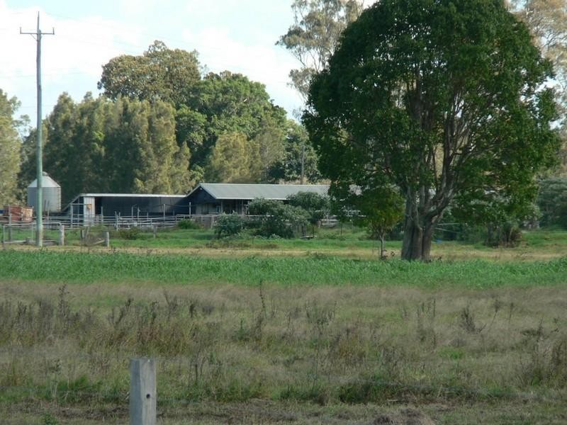 Moto NSW 2426