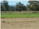 Moto NSW 2426