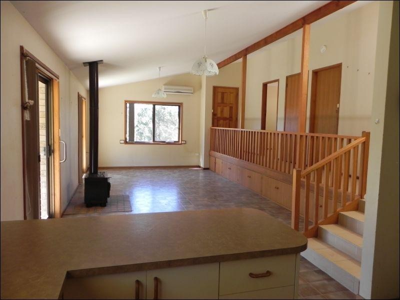 Cedar Party NSW 2429