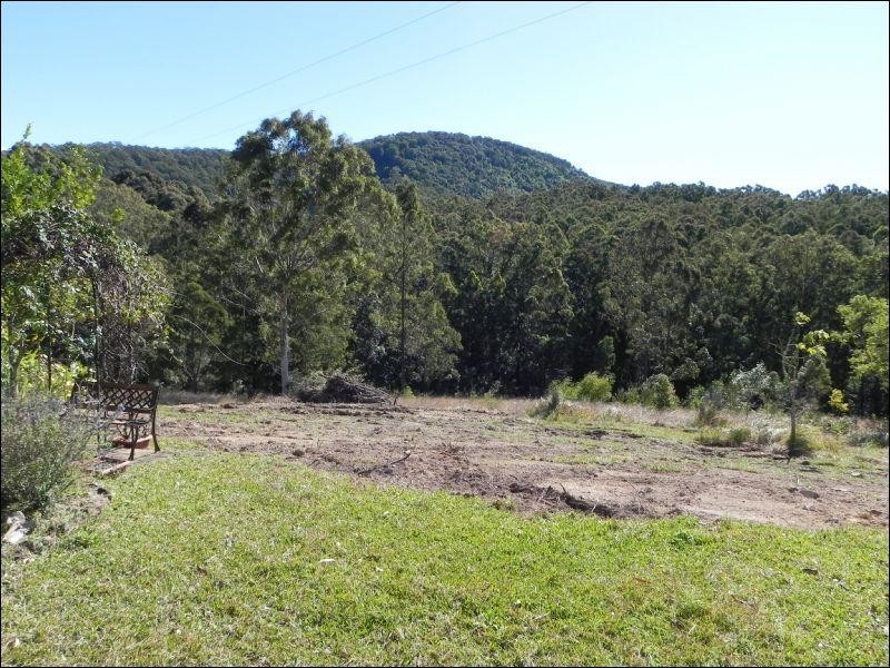 Cedar Party NSW 2429