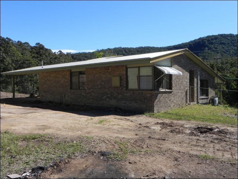 Cedar Party NSW 2429