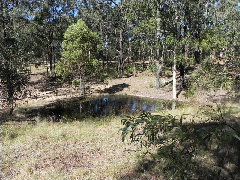 Cedar Party NSW 2429