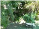 Taree NSW 2430