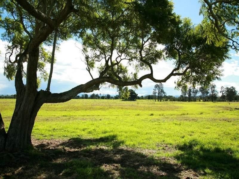 Dumaresq Island NSW 2430