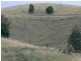 Krambach NSW 2429