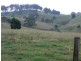Krambach NSW 2429