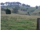 Krambach NSW 2429