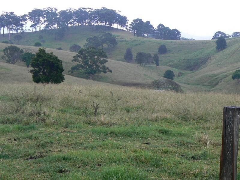 Krambach NSW 2429