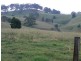 Krambach NSW 2429
