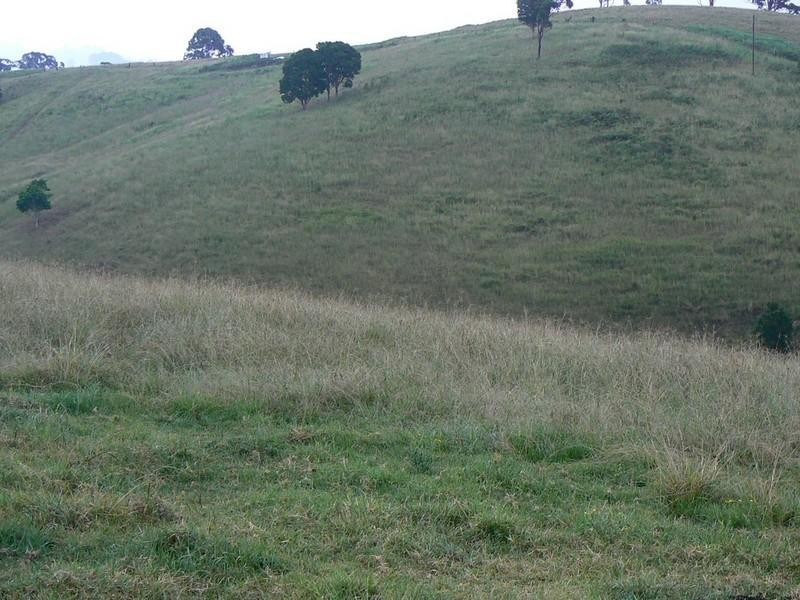 Krambach NSW 2429