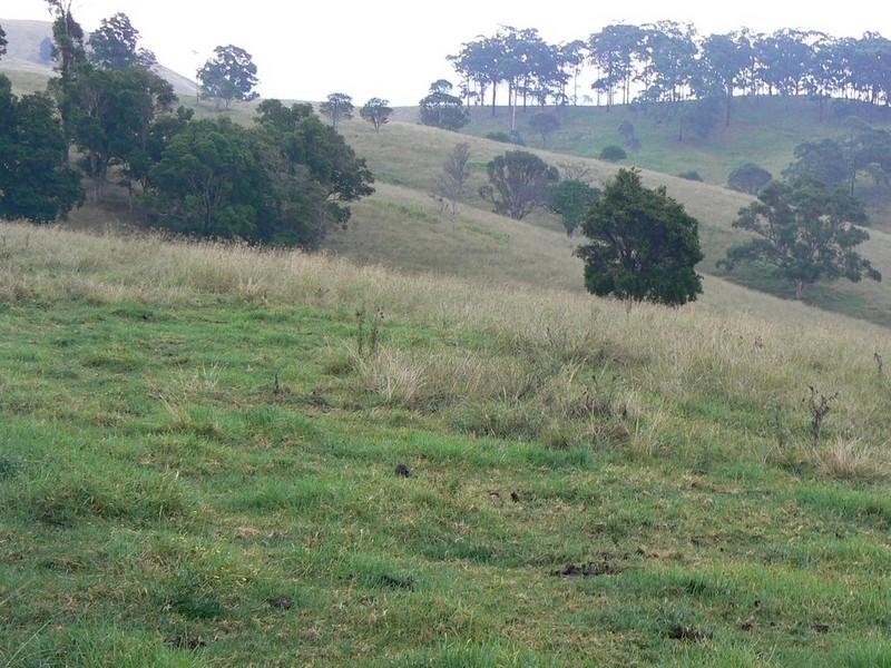 Krambach NSW 2429