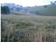 Krambach NSW 2429