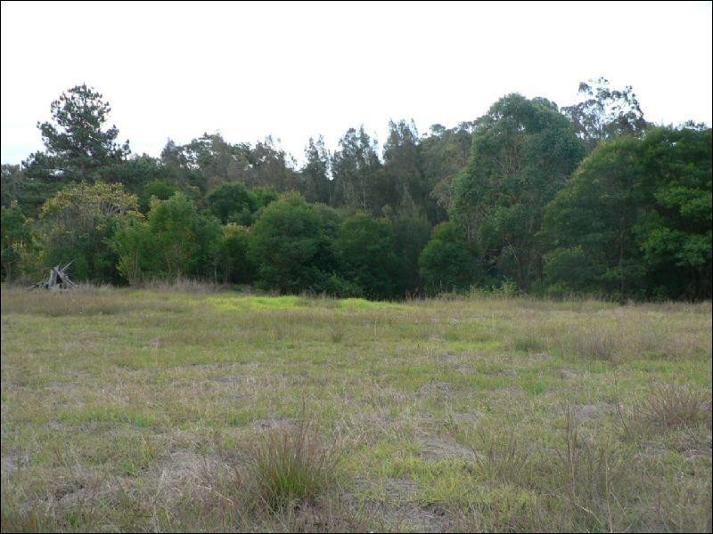 Taree NSW 2430