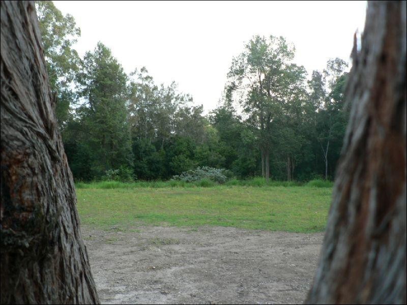 Taree NSW 2430