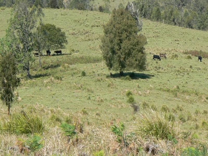 Cooplacurripa NSW 2424