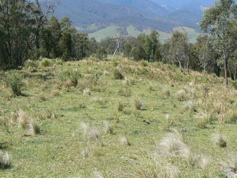 Cooplacurripa NSW 2424