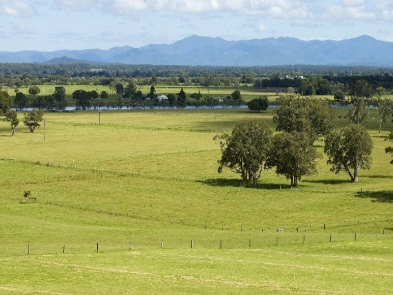 Mitchells Island NSW 2430