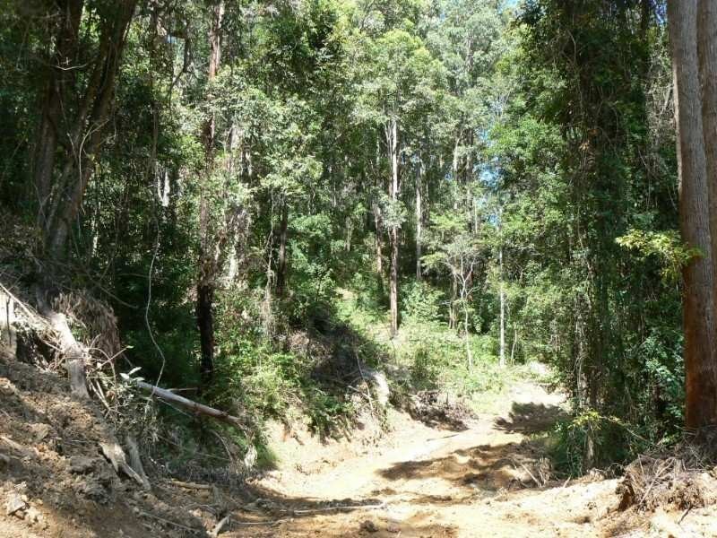 Langley Vale NSW 2426