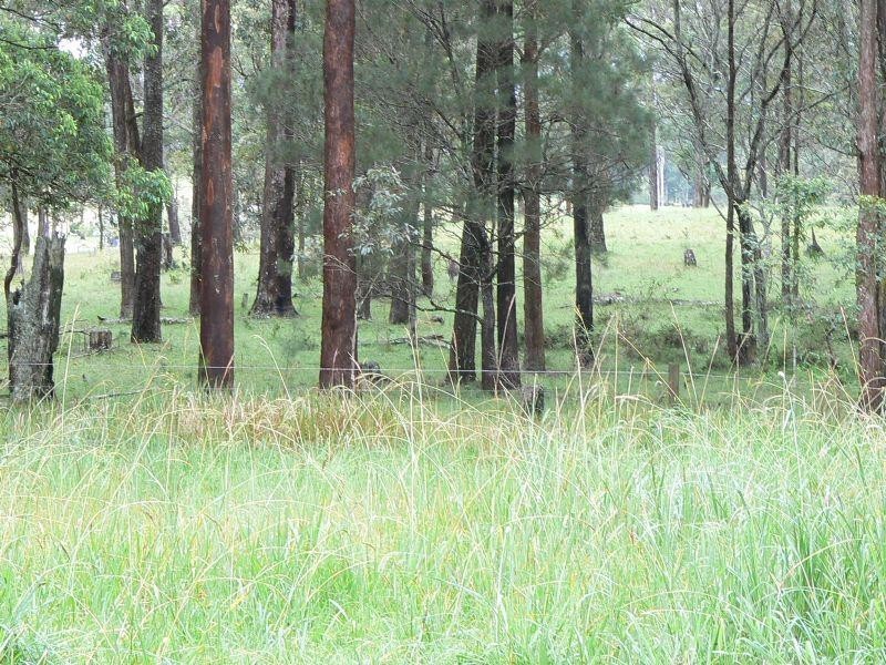 Upper Lansdowne NSW 2430