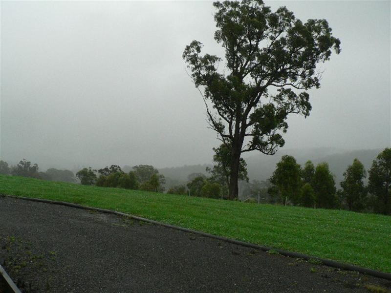 Burrell Creek NSW 2429