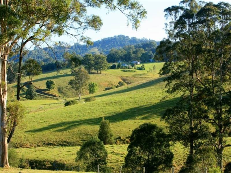 Strathcedar NSW 2429