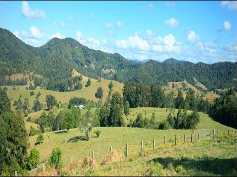 Strathcedar NSW 2429