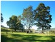 Strathcedar NSW 2429