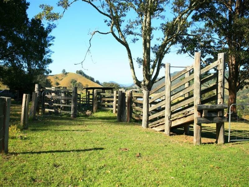 Strathcedar NSW 2429