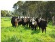 Glenthorne NSW 2430