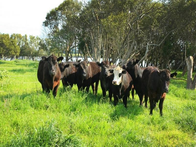 Glenthorne NSW 2430