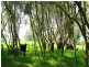 Glenthorne NSW 2430