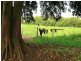 Glenthorne NSW 2430