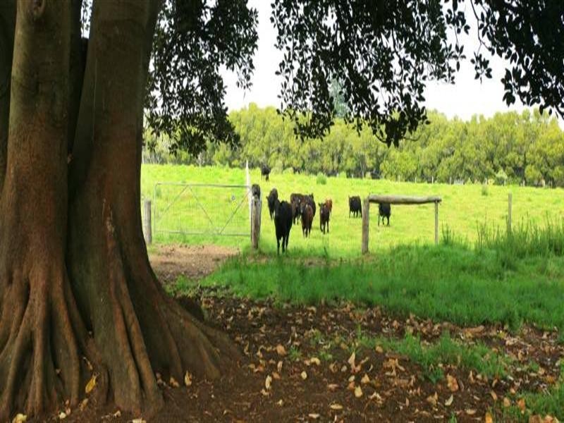 Glenthorne NSW 2430