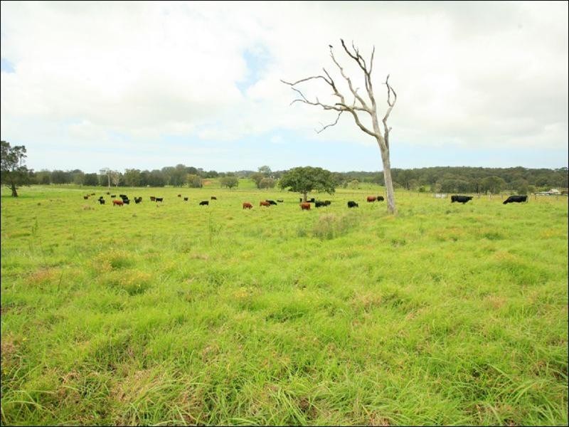 Oxley Island NSW 2430