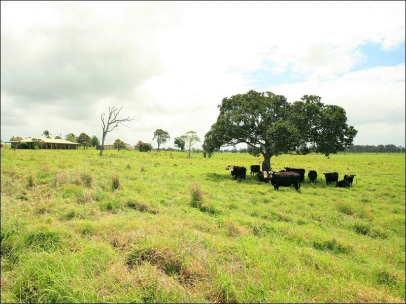 Oxley Island NSW 2430