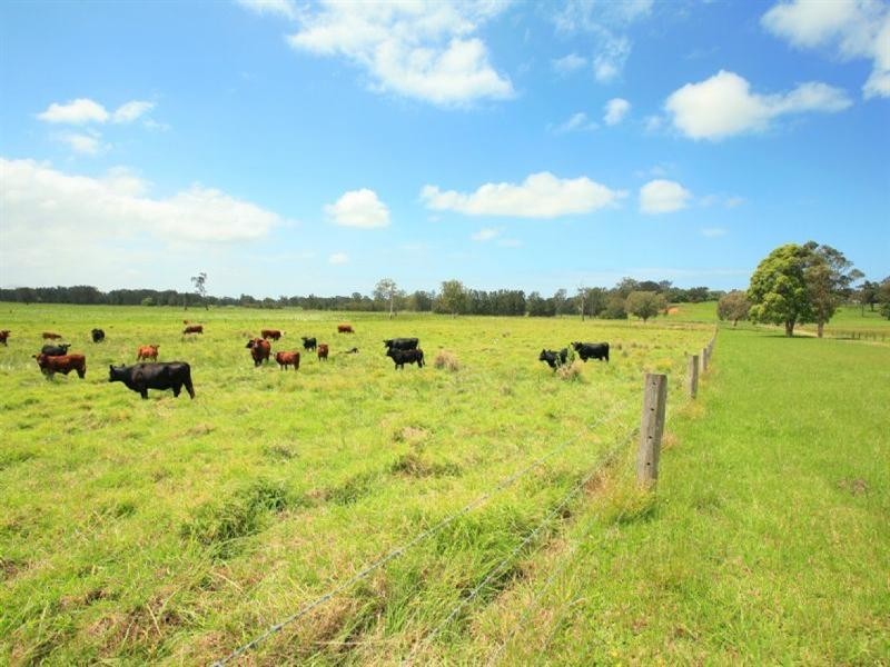 Oxley Island NSW 2430