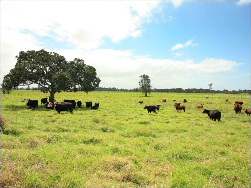 Oxley Island NSW 2430