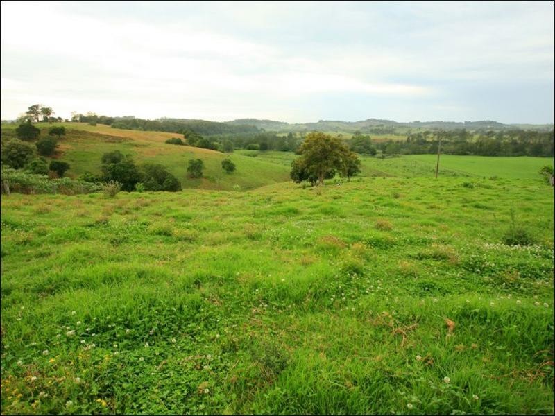 Wingham NSW 2429