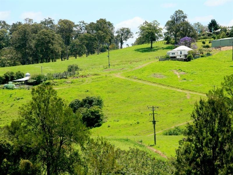 Wingham NSW 2429
