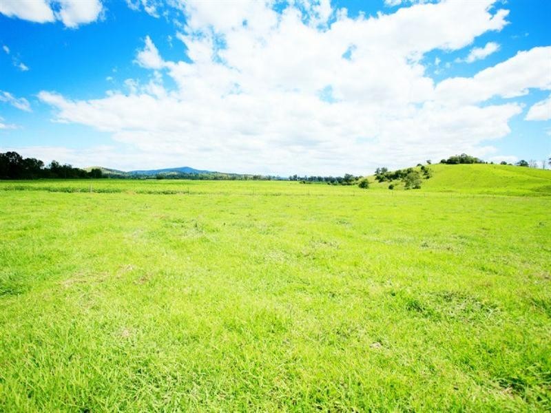 Wingham NSW 2429
