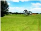 Wingham NSW 2429
