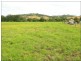 Wingham NSW 2429